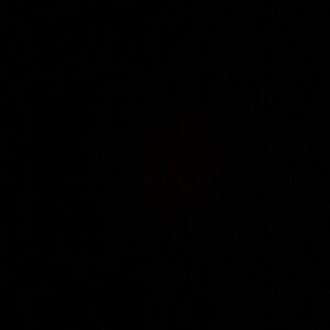 High waisted Pencil Skirt